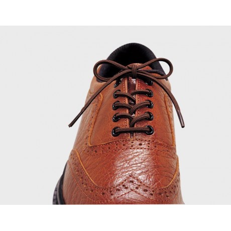 Cordones elásticos para zapatos / Café